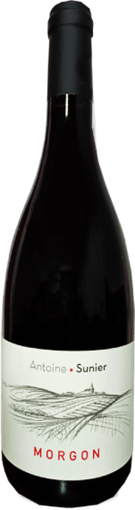 Antoine Sunier Morgon
