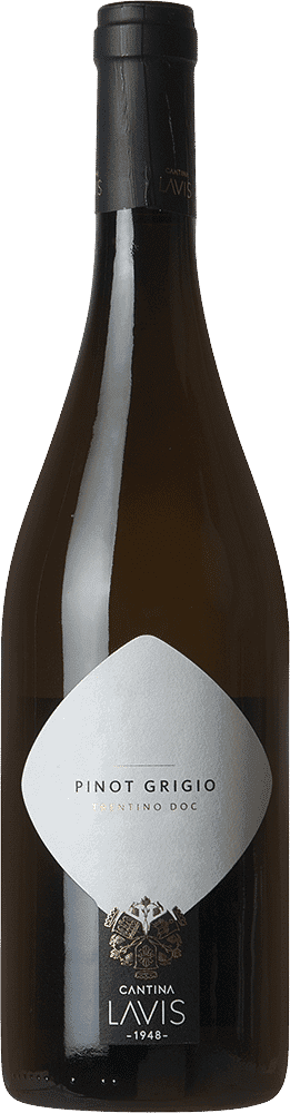 Cantina LaVis Pinot Grigio