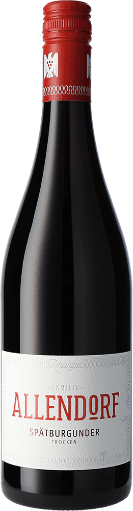 Allendorf Spätburgunder trocken