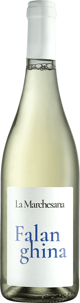 La Marchesana Falanghina