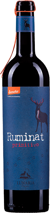 Lunaria Primitivo 'Ruminat'