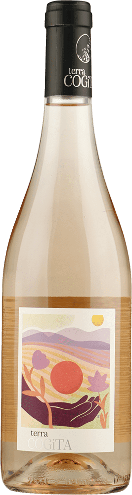 Preignes le Vieux Cabernet Cortis 'Terra Cogita'