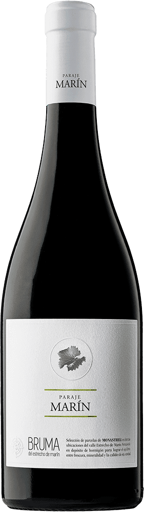 Viña Elena Paraje Marín