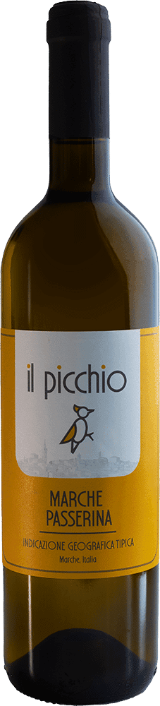 il picchio Passerina